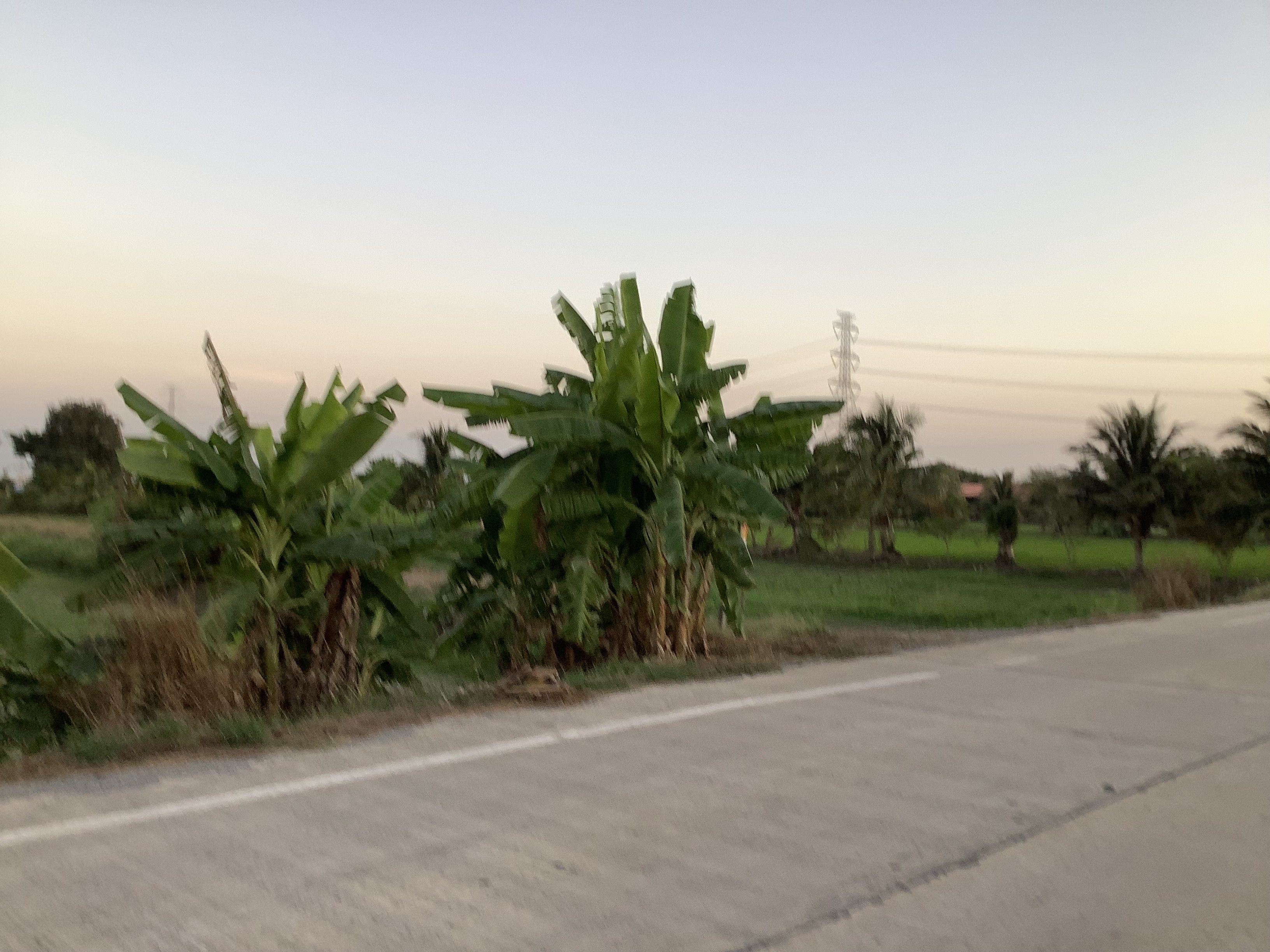 ขายที่ดินสีม่วง ต.ไทรใหญ่ นนทบุรี 7 ไร่ 78 ตร.วา ไร่ละ 2,700,000 บาท